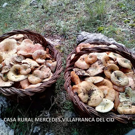 Casa Mercedes *